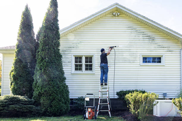 Solar Panel Cleaning in Frisco, TX